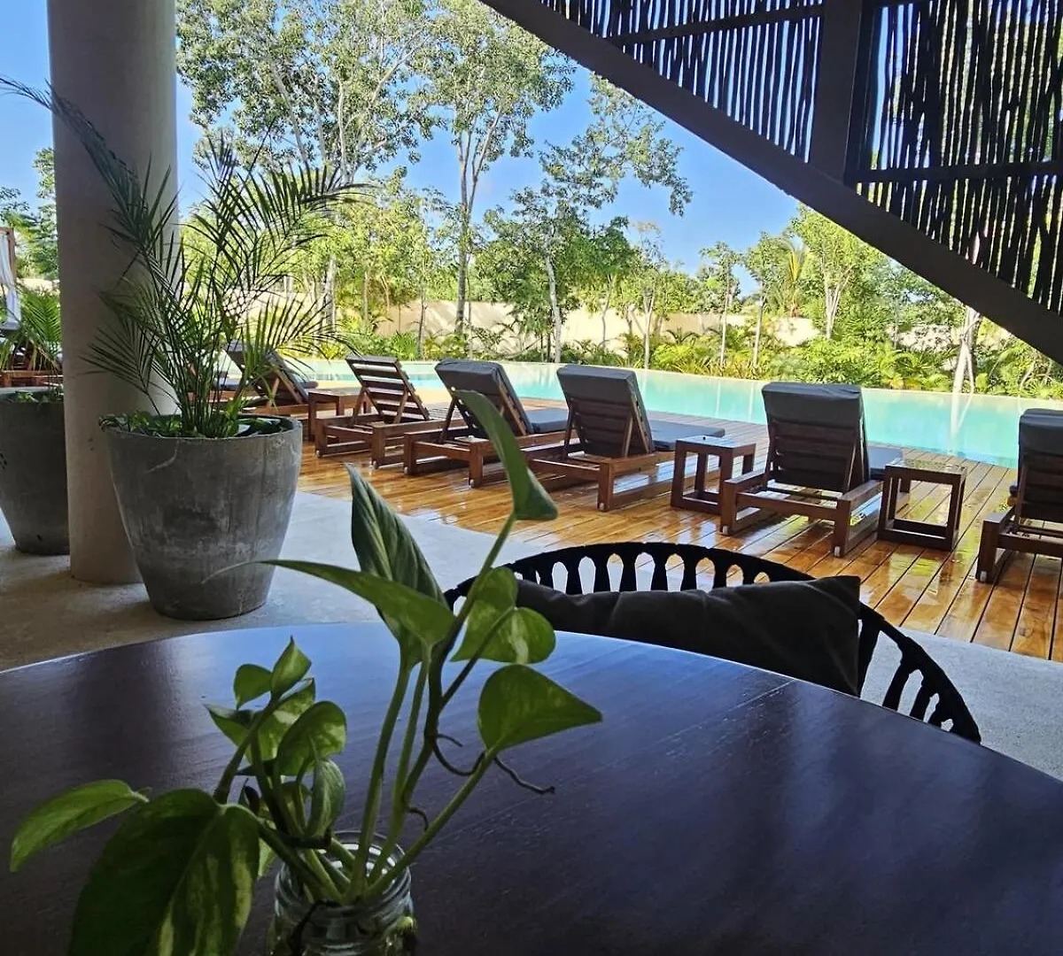 Departamento En Ophelia Tulum Apartment 0*,